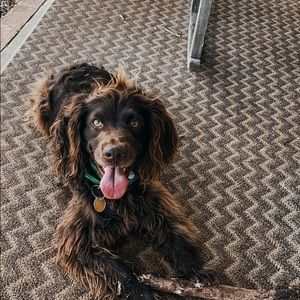 Meet your Posher, Ruth